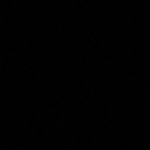 Meet your Posher, Randall